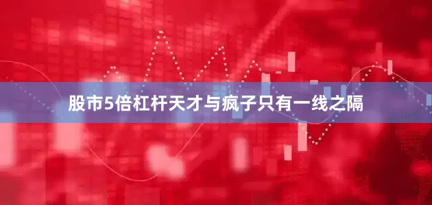 股市5倍杠杆天才与疯子只有一线之隔